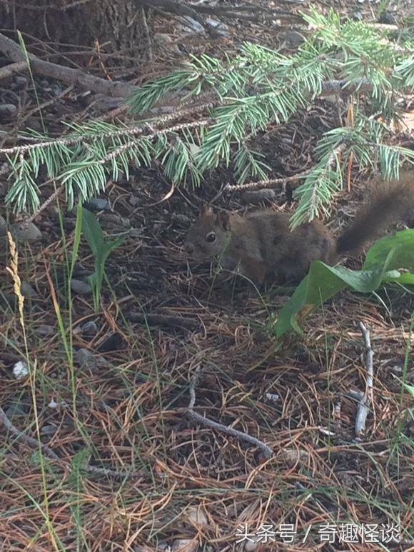 在美国旅游日常,在美国旅游攻略大全最新