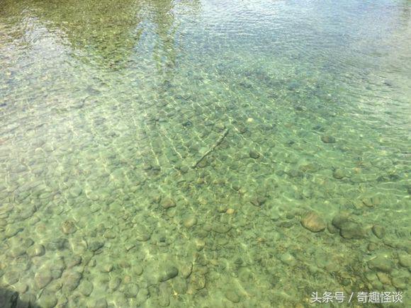 在美国旅游日常,在美国旅游攻略大全最新