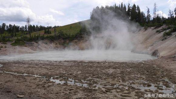 在美国旅游日常,在美国旅游攻略大全最新