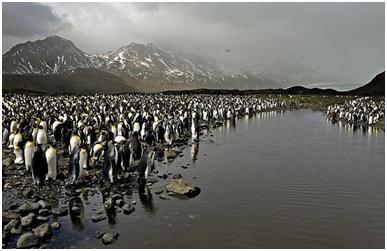 真正的微商真的能赚钱吗,传说中暴利行业