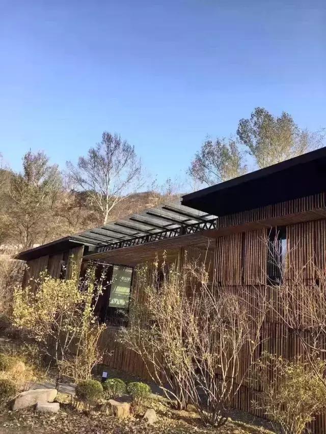 孩子说想出去玩怎么办,孩子问为什么不能出去玩