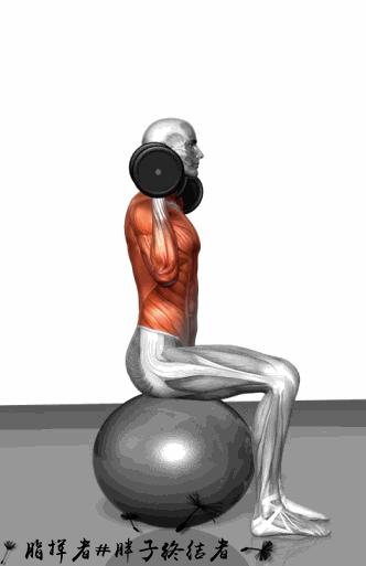 健身应该先练力量吗,哑铃大肌肉群增肌训练