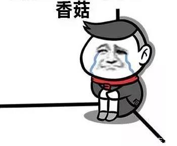 斯柯达昕动是款怎样的车,斯柯达昕动怎么看还有多少油