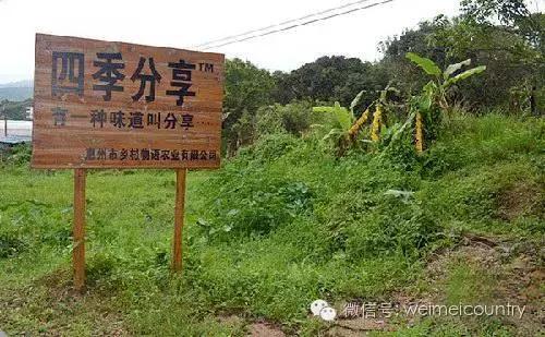 怎么玩好农业众筹,众筹农业模式