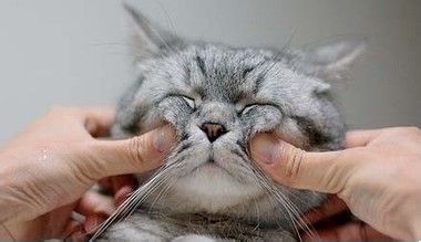 美瞳隐形眼镜的正确佩戴方法,为什么戴美瞳眼镜会干涩