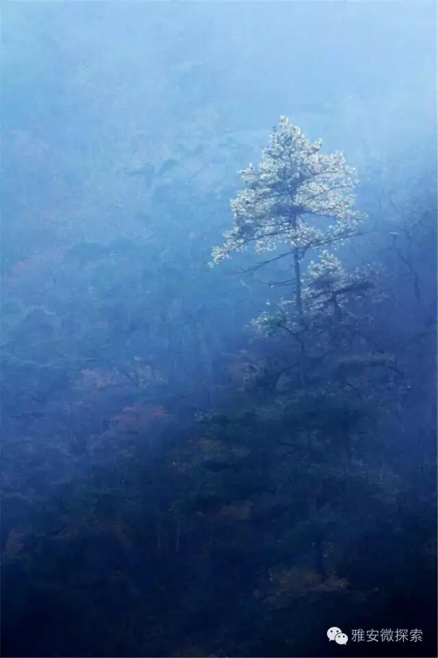 最美的季节,醉美的季节原唱视频