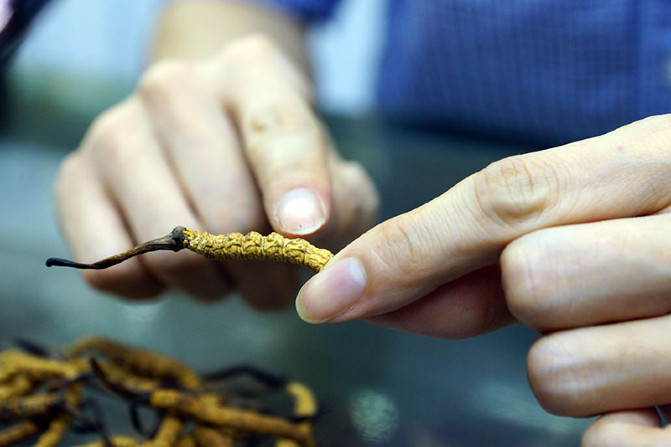 香港哪里购买保健品好,香港哪里买零食保健品便宜