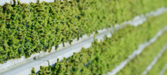 岛国人民开购物中心的脑洞，你不得不服！