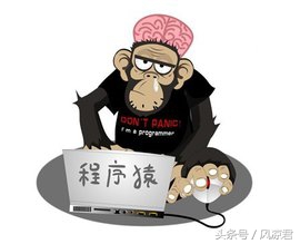 程序猿是编程吗,程序员新手入门教程