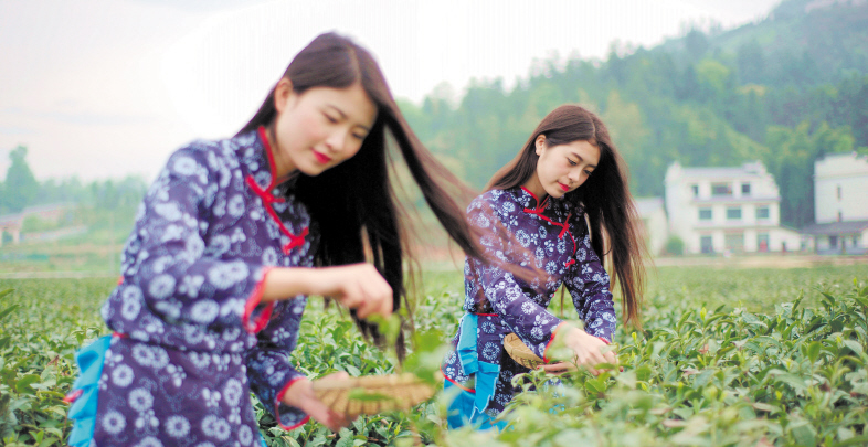 沩仰宗祖庭在哪里,沩仰宗祖庭印密寺