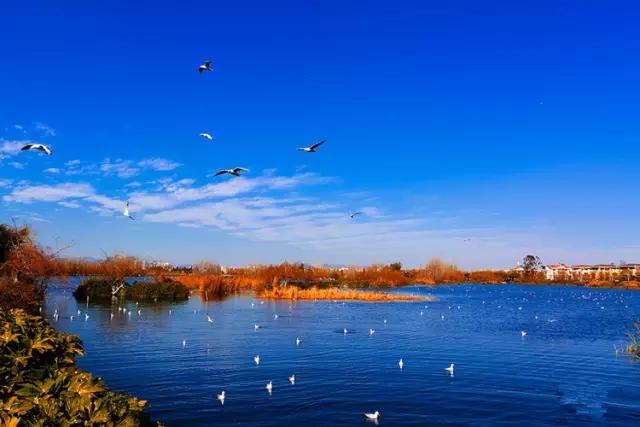 沪昆高铁沿线有什么著名旅游景点,好消息昭通高铁