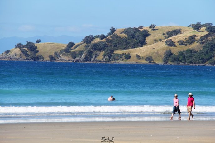 到怀希基岛,品酒-看海