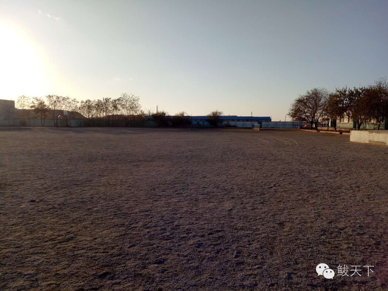 漂亮的新家,漂亮的新家完整视频