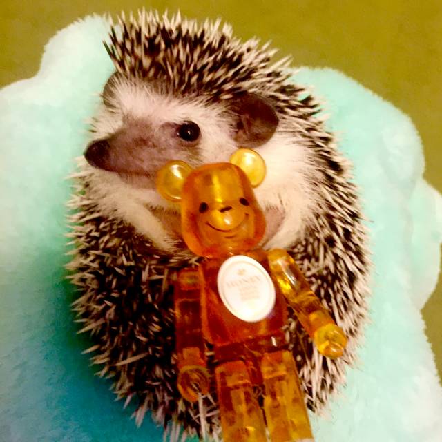 玩家秀梦幻西游,玩家秀创意工坊