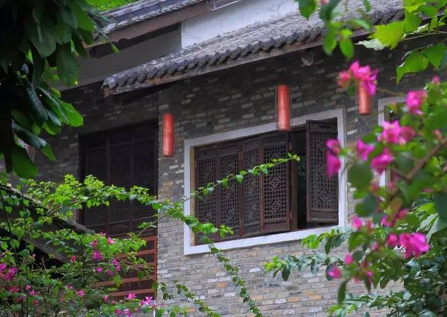 关注深圳龙岗,深圳龙岗最好消息