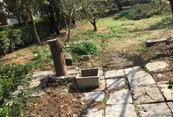 首师大附属中学通州校区,北京首师大附属中学通州校区场景