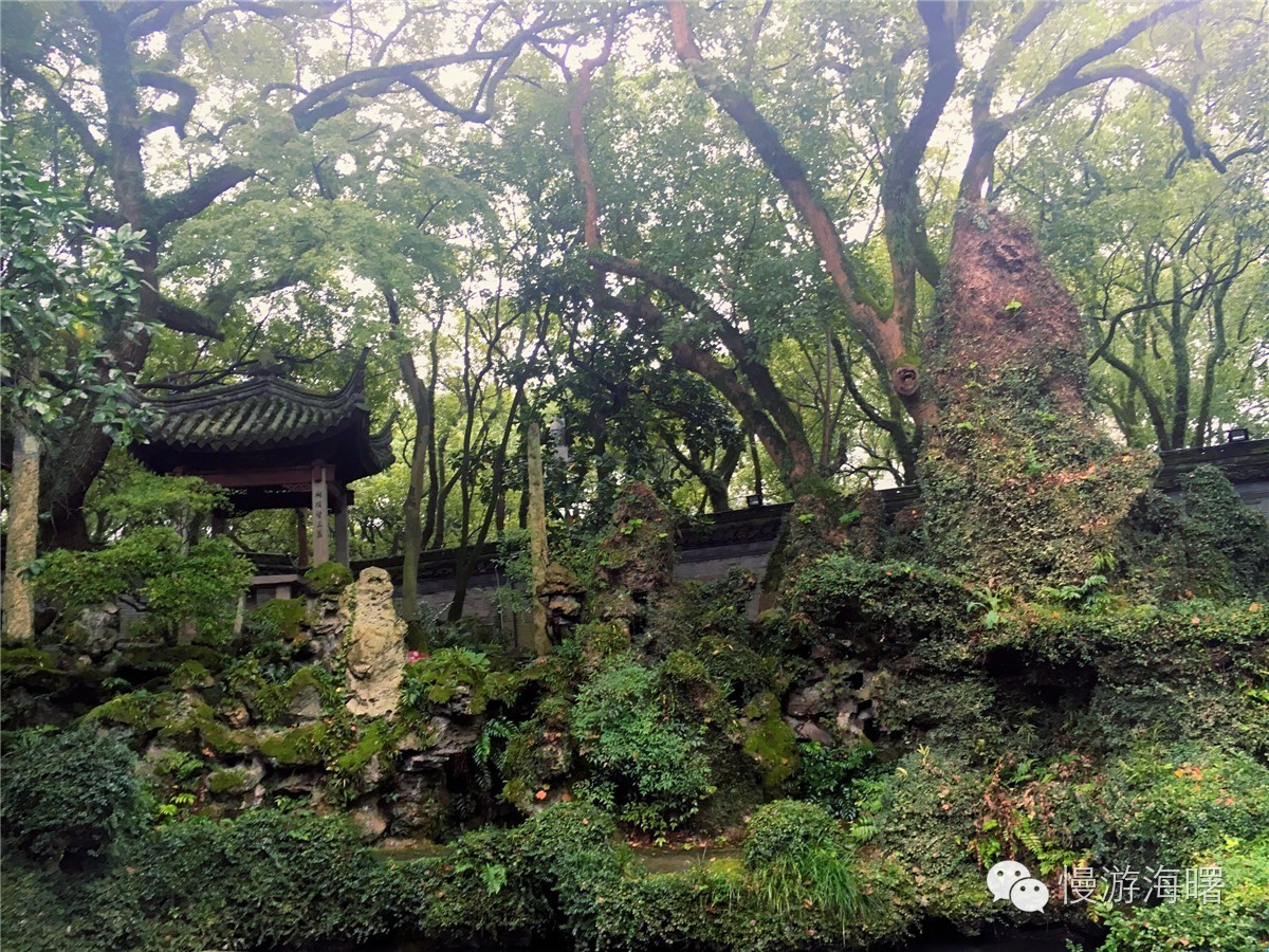 新宁波人游海曙，看完觉得自己这么多年宁波白待了！有奖征集作品02