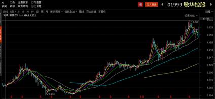 敏华控股股价为何下跌严重,港股敏华控股01999表现怎么样