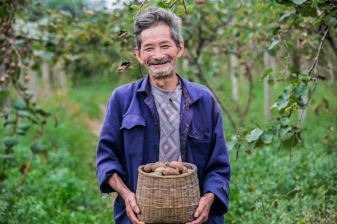 在蒙顶山的守候,蒙顶山晚上