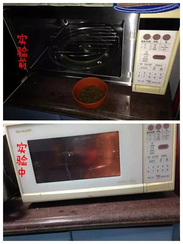 你真的知道该如何选择狗粮吗,如何选择合适的狗粮