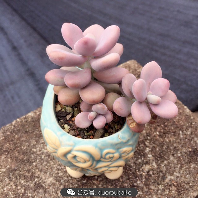 谈谈我对自己的看法,谈谈我对恋爱的看法