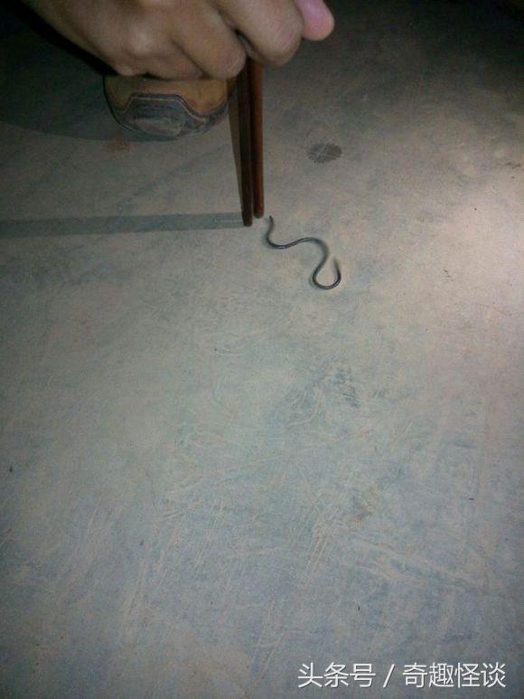 我在非洲工作的日子，给大家介绍下非洲的风土人情