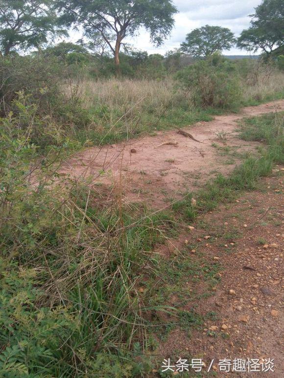 我在非洲工作的日子，给大家介绍下非洲的风土人情