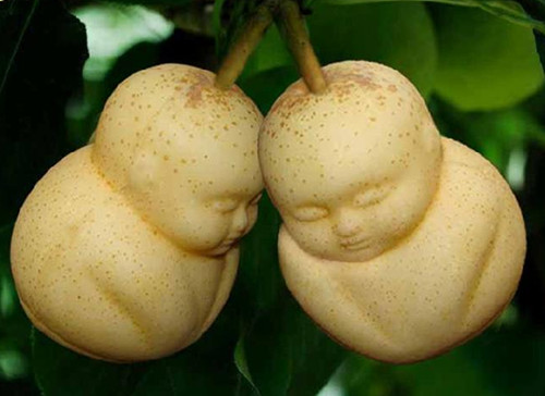 农业创业赚钱项目怎么做,创业种植什么可以赚钱的