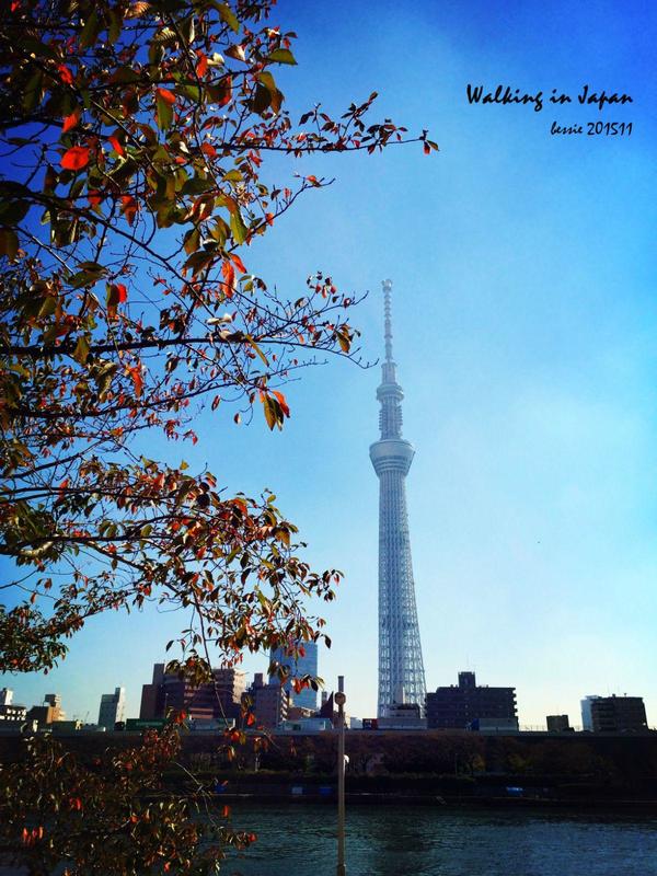 霓虹国秋日暴走之旅,漫步日本旅行游记