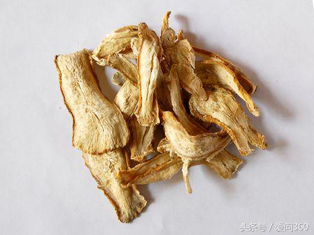 牛蒡丹参地骨皮山楂葛根药用价值,牛蒡药用价值是老的好还是嫩的好