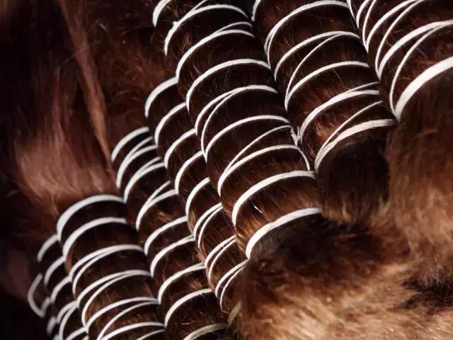 霍格沃茨学校是什么学校,北大霍格沃兹学校