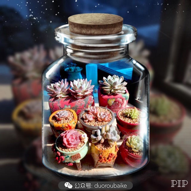 这样的极品雪天使，你可倾心？