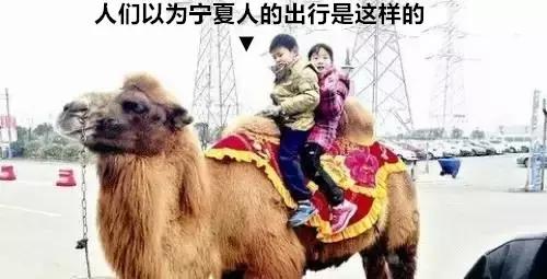 只有新疆人才能看懂的视频,只有1%的人才能看懂的东西