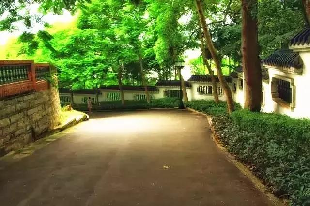 错过美丽的风景,厦门鼓浪屿的风景特别美