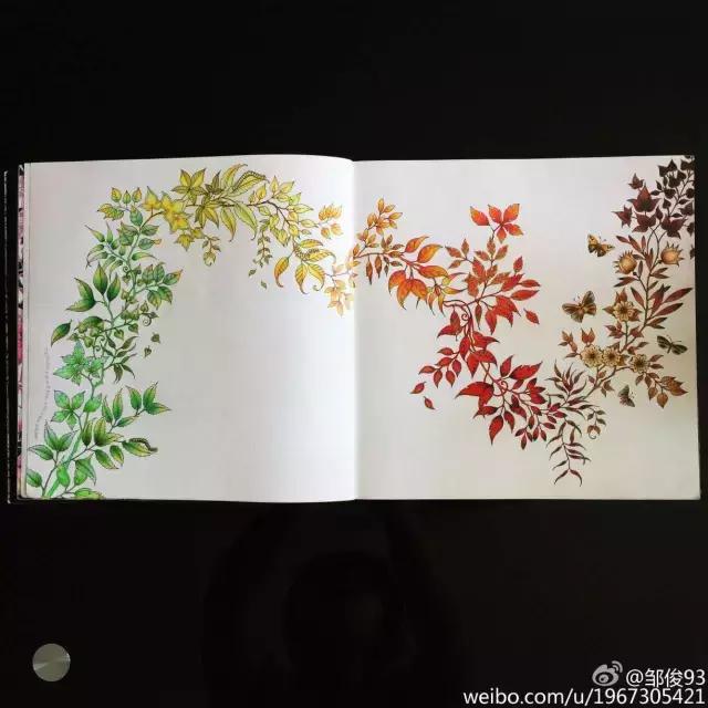 凭本264字成人图书却“莫名其妙”风靡了全球！狂销300万册