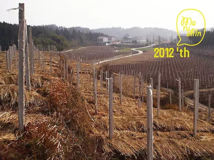 农心|一起向匠人精神致敬!