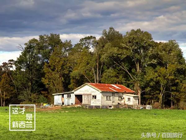 新西兰美到让人窒息,新西兰哪里最美