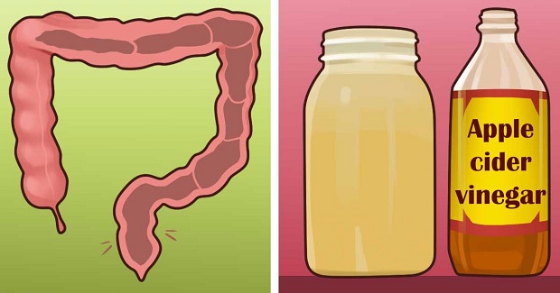 酸奶和什么一起榨汁能通便,自制便秘饮料配方大全