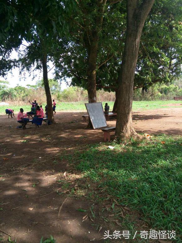 我在非洲工作的日子，给大家介绍下非洲的风土人情