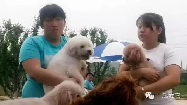 宠爱故事全集,宠爱讲故事