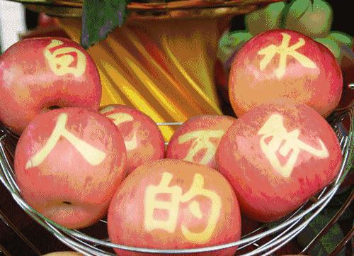 白水人,以前的白水和现在的白水