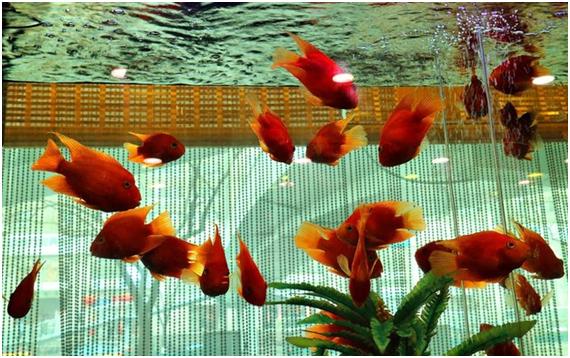 絮絮叨叨北京话怎么说,絮絮叨叨话北京