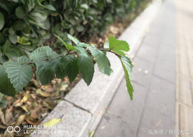 华为mate9在2024年还值得买吗,华为mate9怎么样现在还值得购买吗