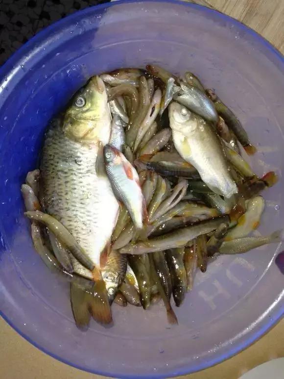 东北快消失了的一些农村美食,东北乡下消失的美食