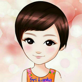 去斯里兰卡经营民宿要什么条件,斯里兰卡开一家民宿