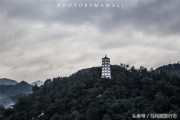 上山割茅草编茅草筐,农村割草竹筐手工编织教程