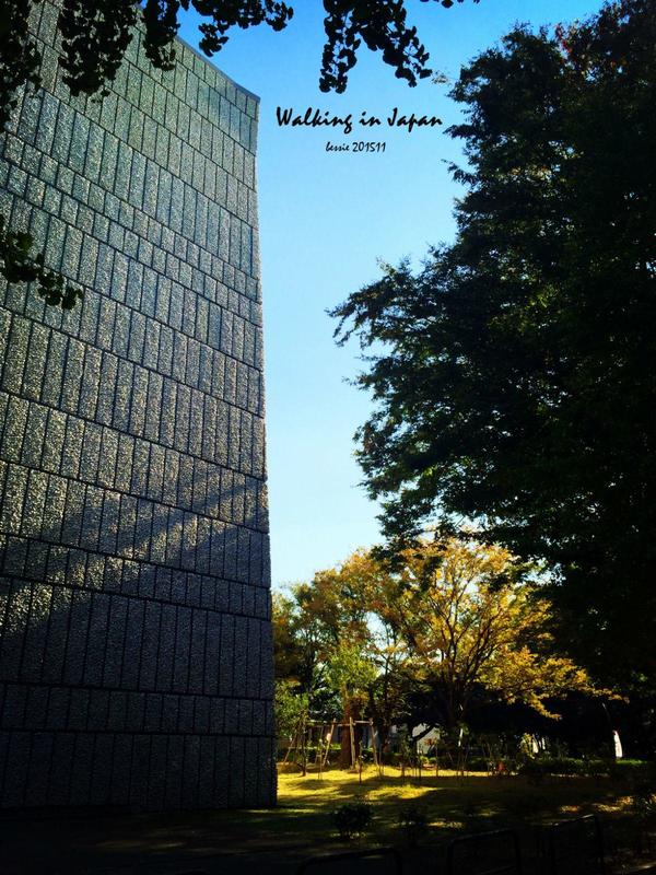 霓虹国秋日暴走之旅,漫步日本旅行游记