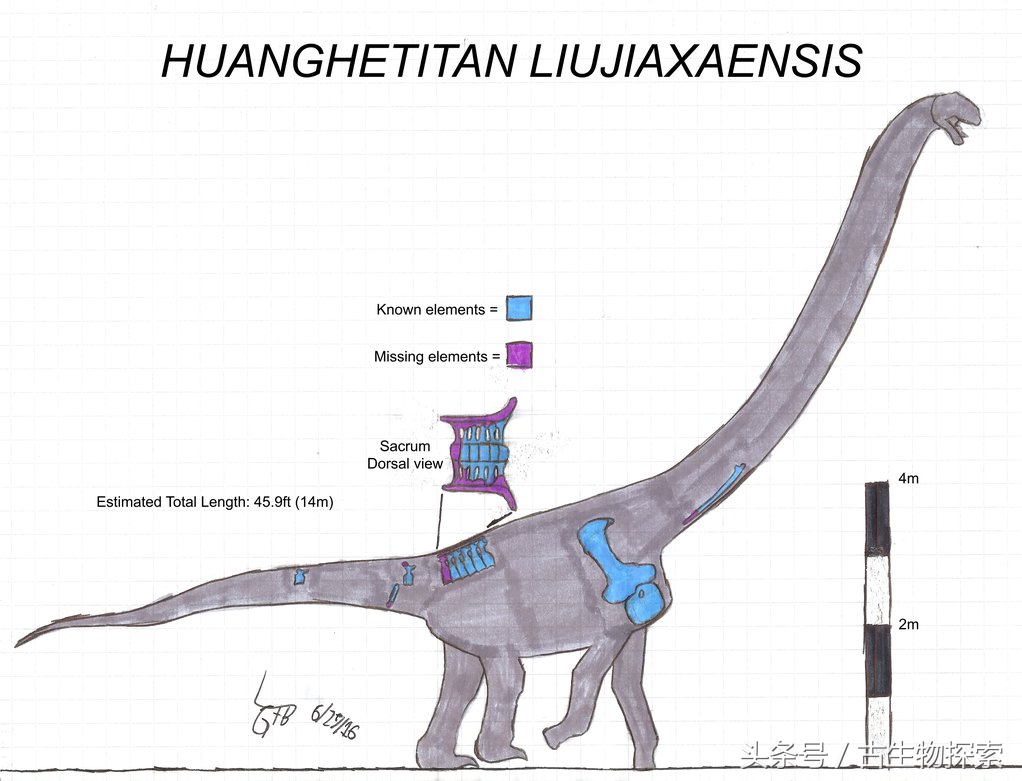 恐龙黄河巨龙,史前中国十大恐龙