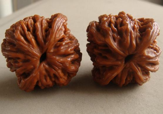 玩核桃要玩全品吗,玩核桃经验分享