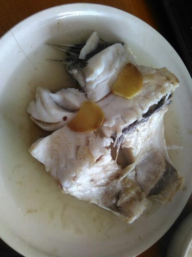 海钓米鱼讲解及示意图,海钓分析报告